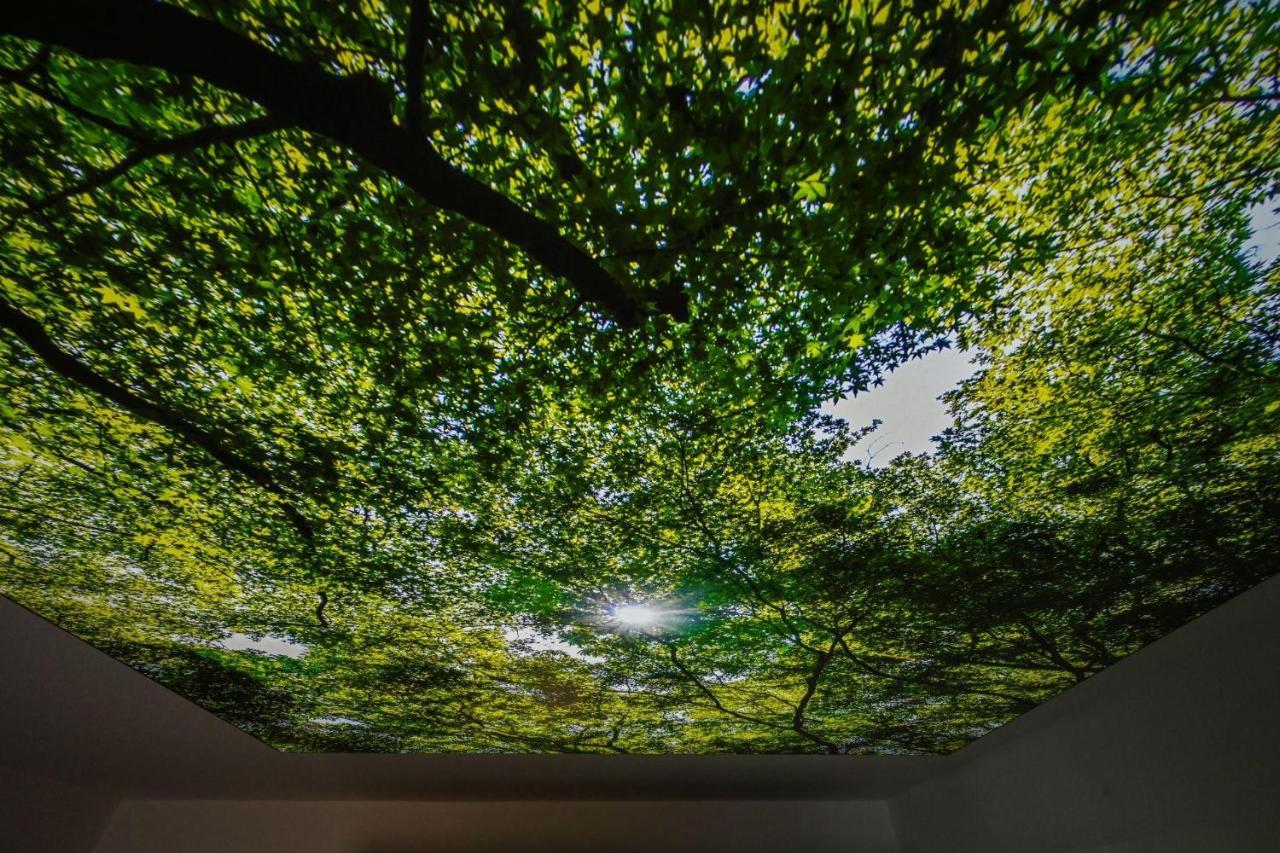 Lichtermeer 2 다메 외부 사진